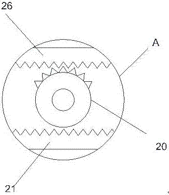 Soybean screening device with drying function