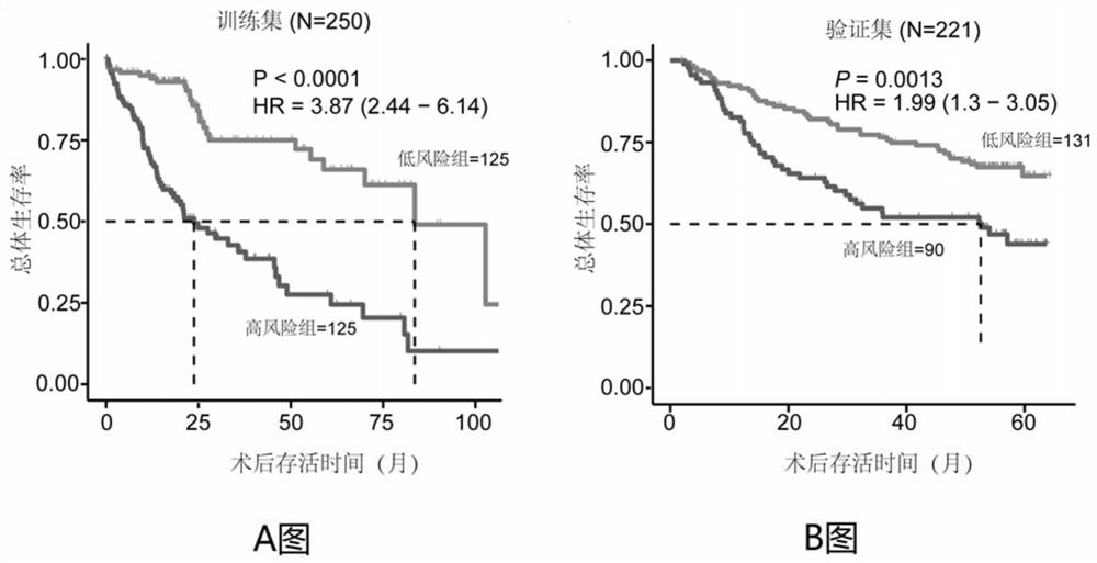 Immune gene prognosis model for predicting hepatocellular carcinoma tumor immune infiltration and postoperative survival time