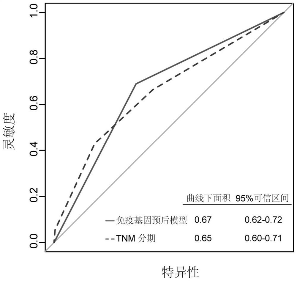 Immune gene prognosis model for predicting hepatocellular carcinoma tumor immune infiltration and postoperative survival time