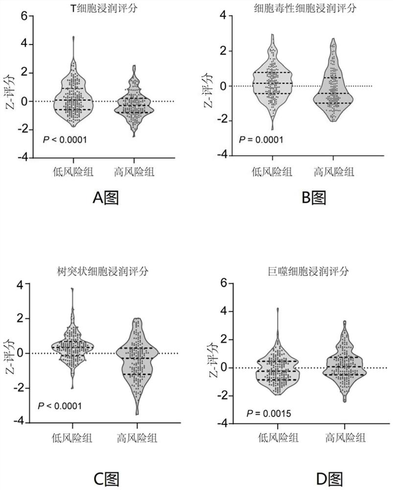 Immune gene prognosis model for predicting hepatocellular carcinoma tumor immune infiltration and postoperative survival time