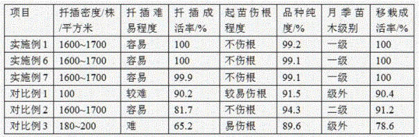 Soilless cutting propagation method for Chinese roses