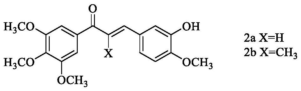 A dual-target inhibitor of histone deacetylase and microtubule and its preparation method