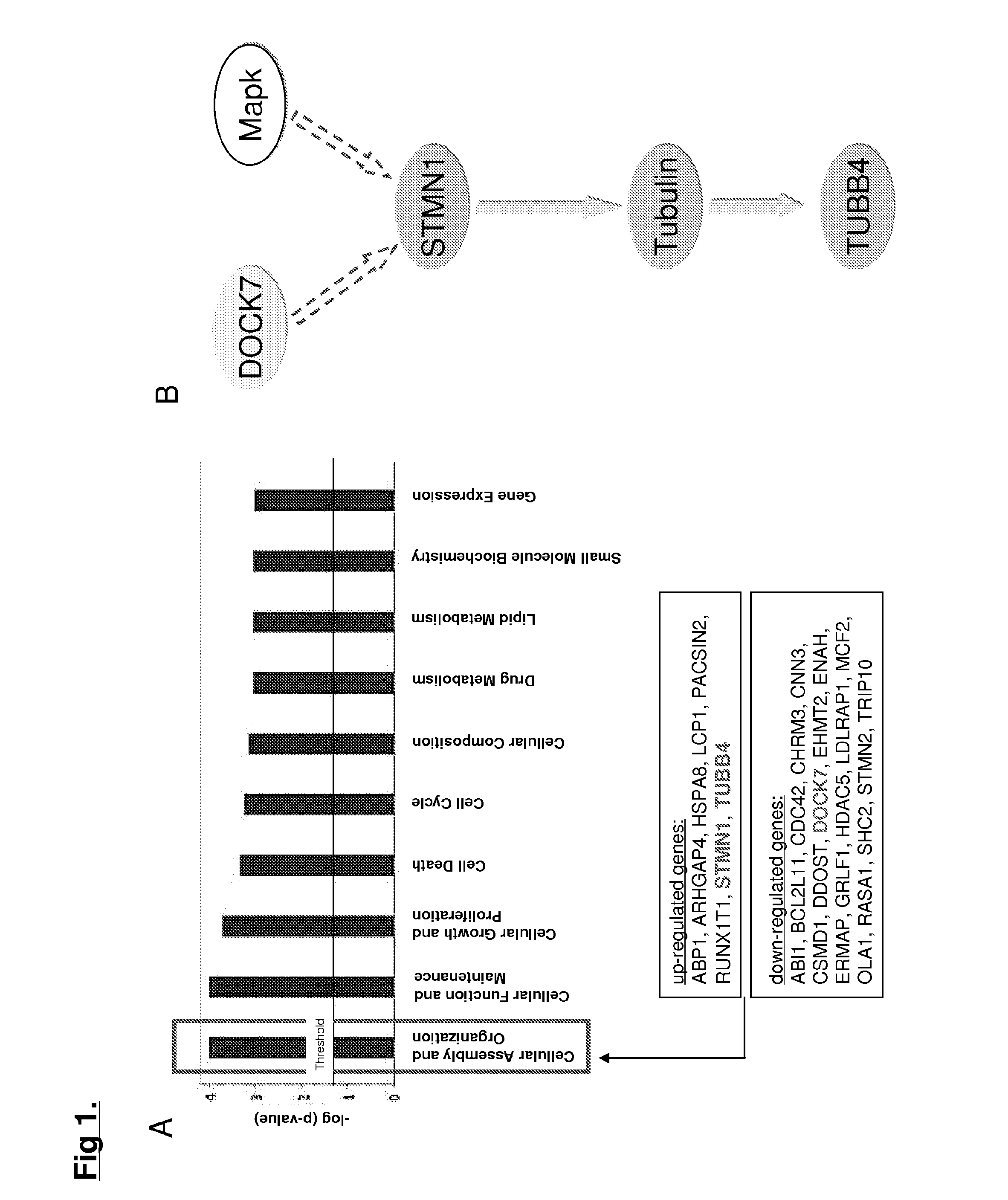 Methods for treating hepatocellular carcinoma