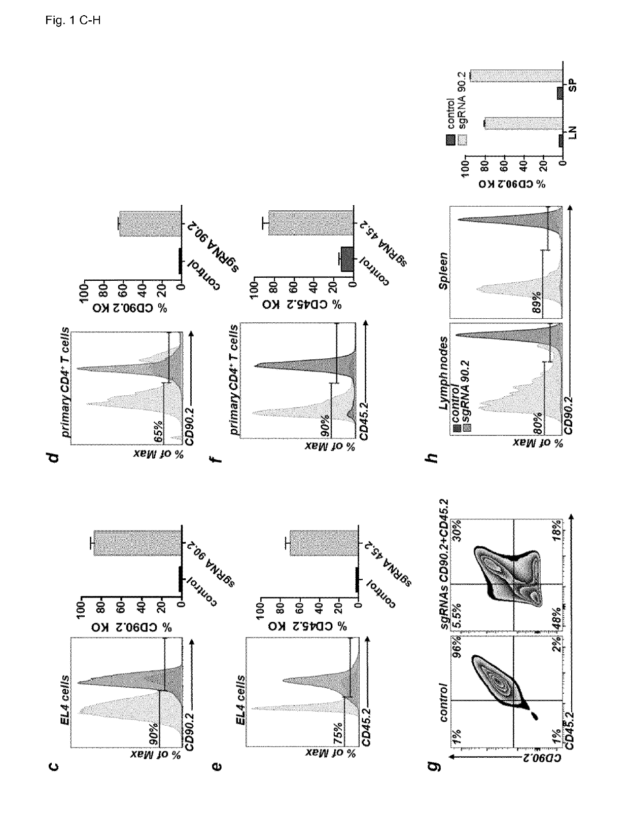 Allele editing and applications thereof