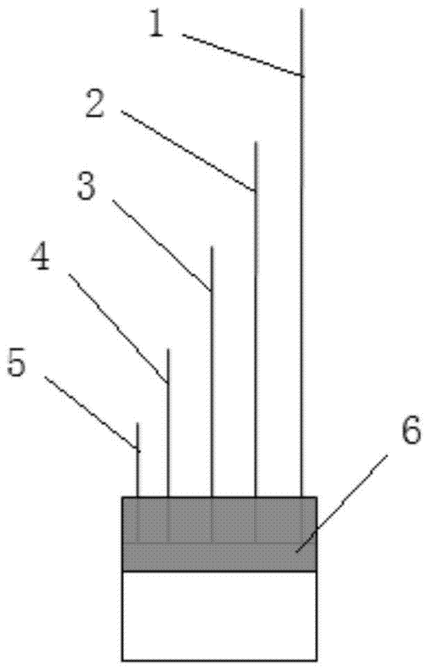 An electrode capable of simultaneously stimulating and collecting signals and its preparation method