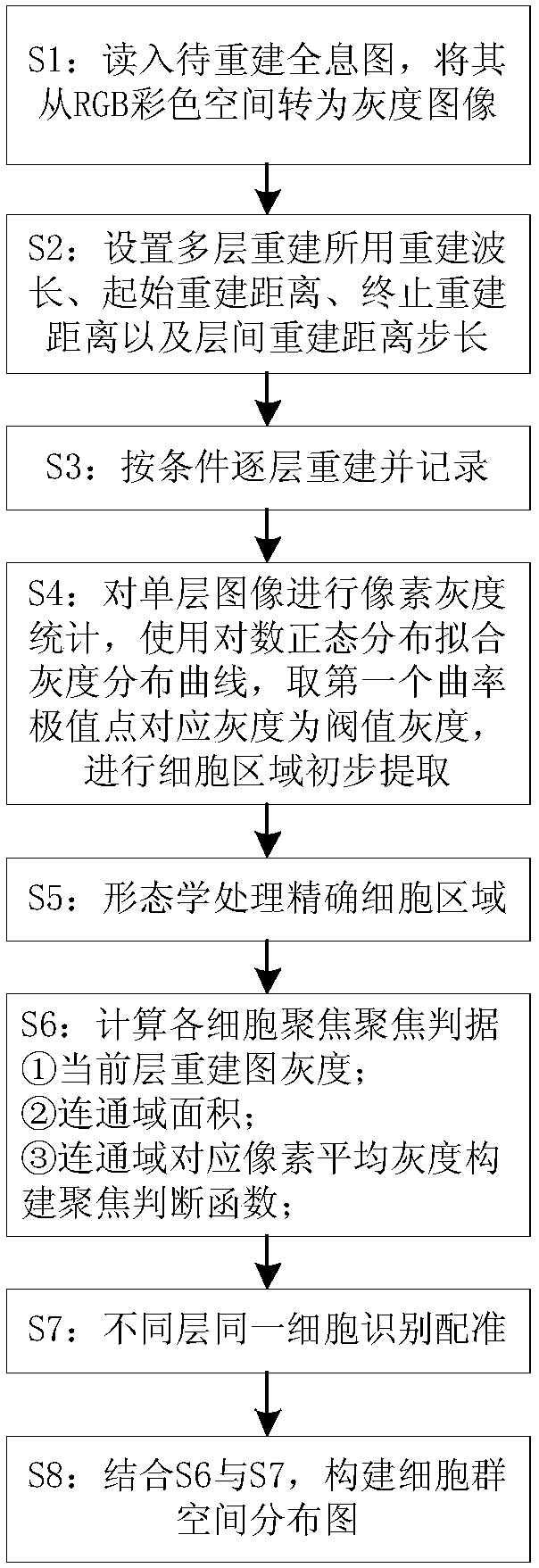 Multi-layer holographic reconstruction and focusing strategy-based construction method of spatial distribution of cell group