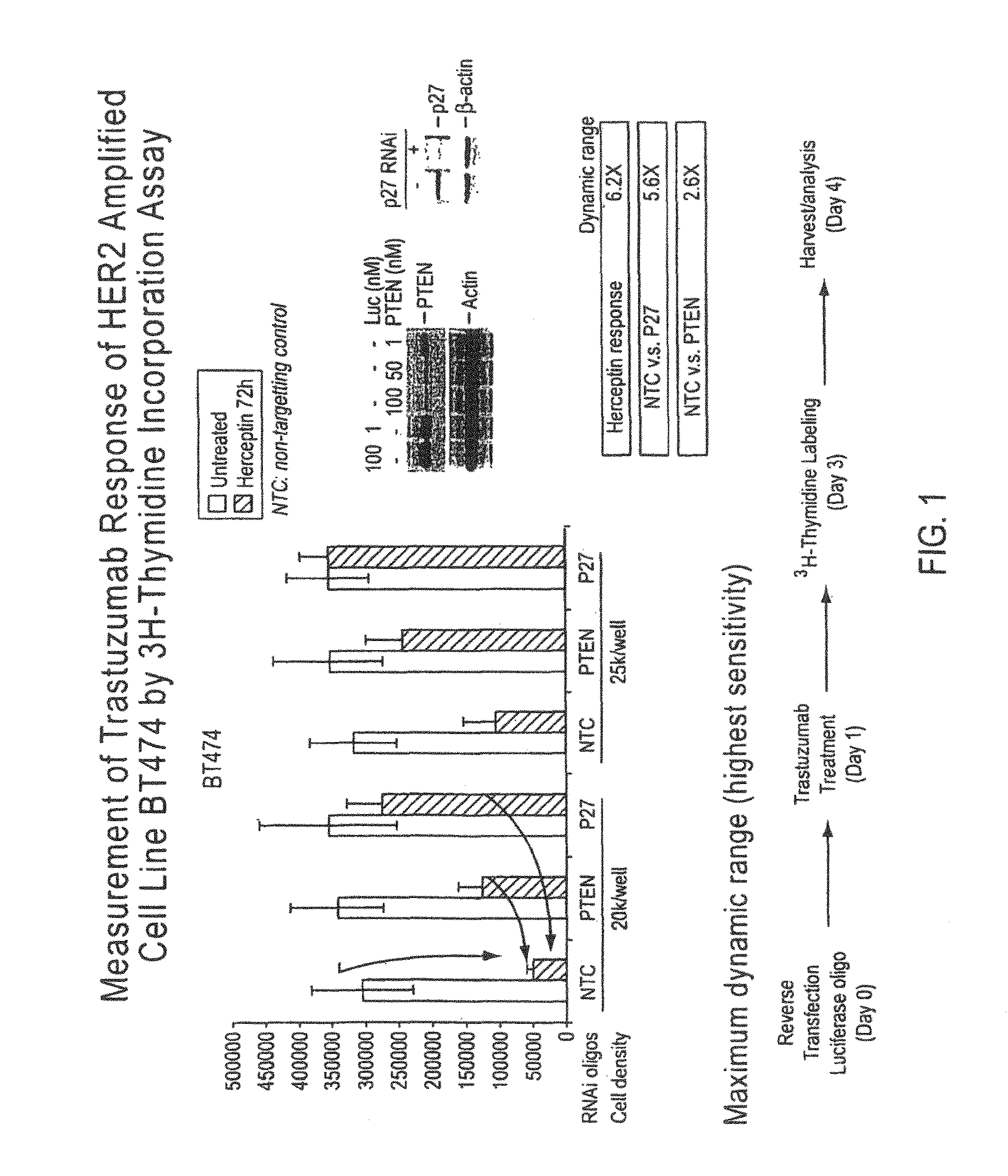 Gene expression markers of tumor resistance to HER2 inhibitor treatment