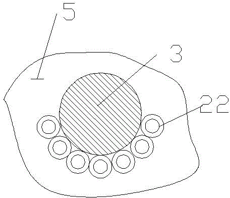 Nut protein extraction device provided with air blowing strips and secondary teeth