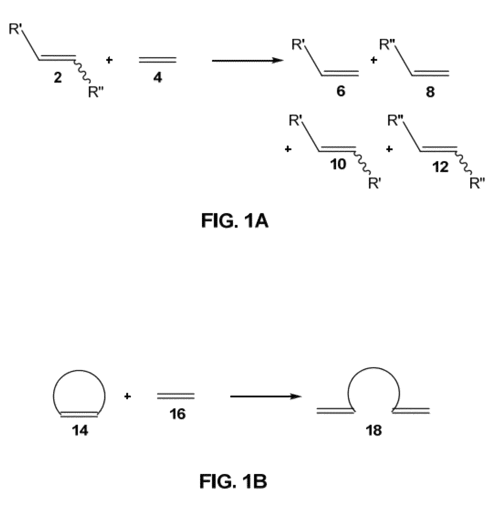 Catalysts and processes for the formation of terminal olefins by ethenolysis