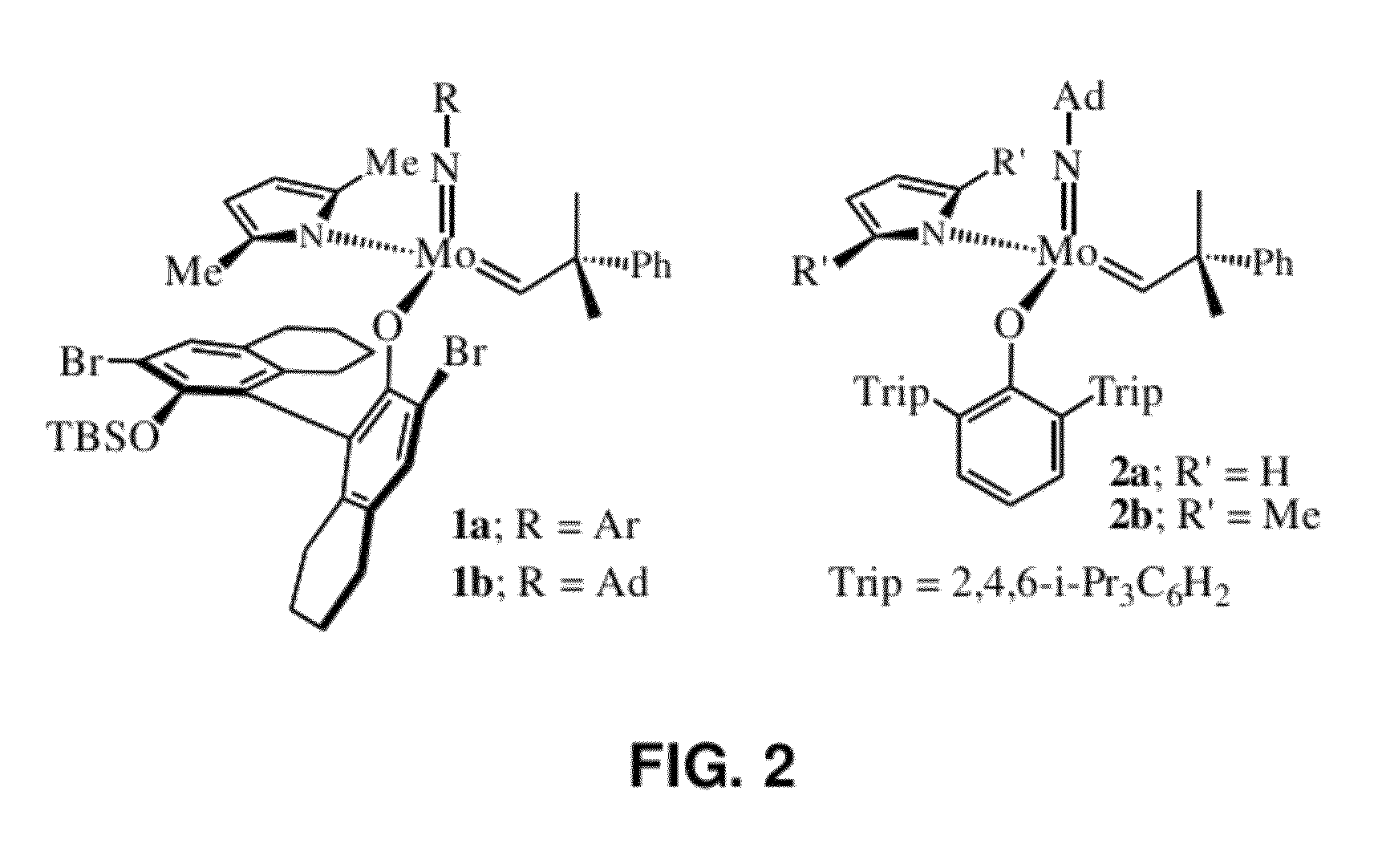 Catalysts and processes for the formation of terminal olefins by ethenolysis