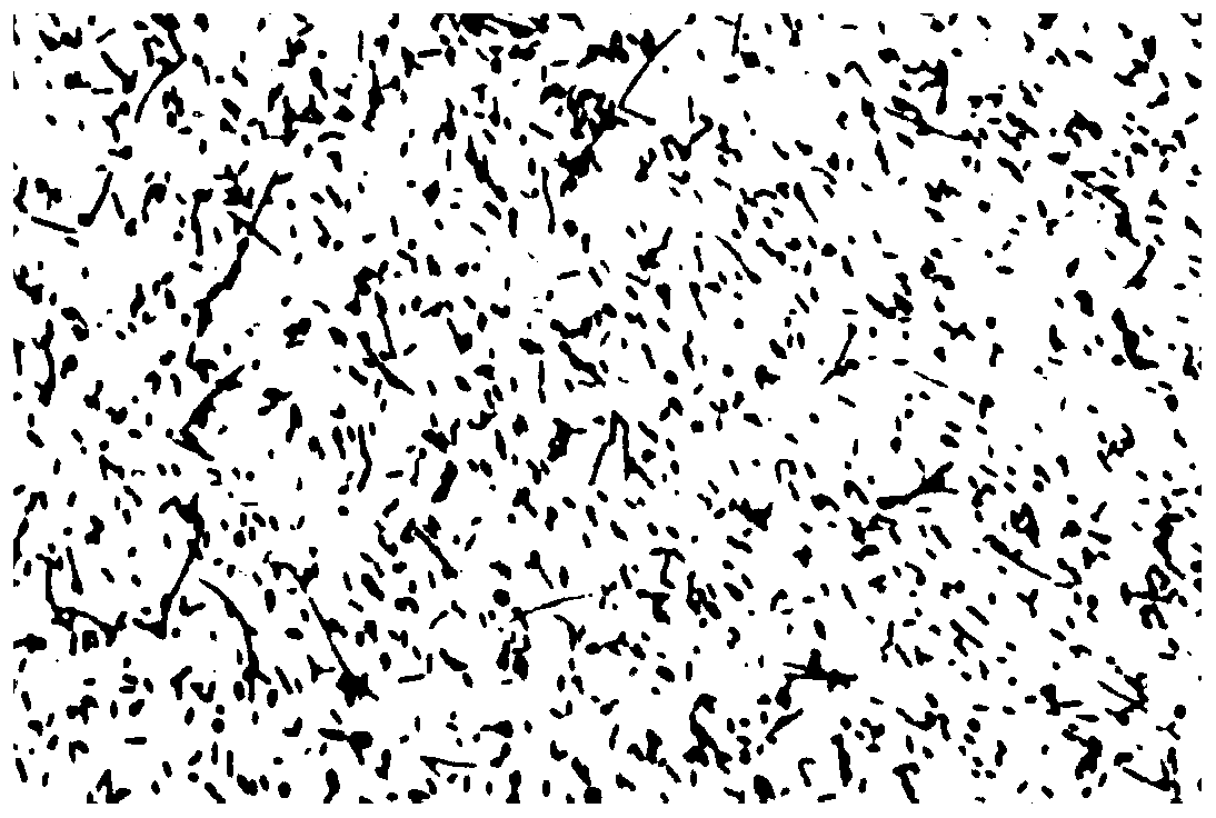 Method for isolated culture of strain of helicobacter pylori