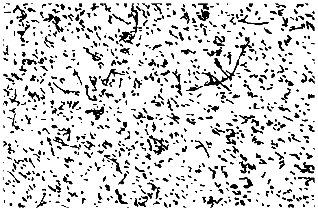 Method for isolated culture of strain of helicobacter pylori