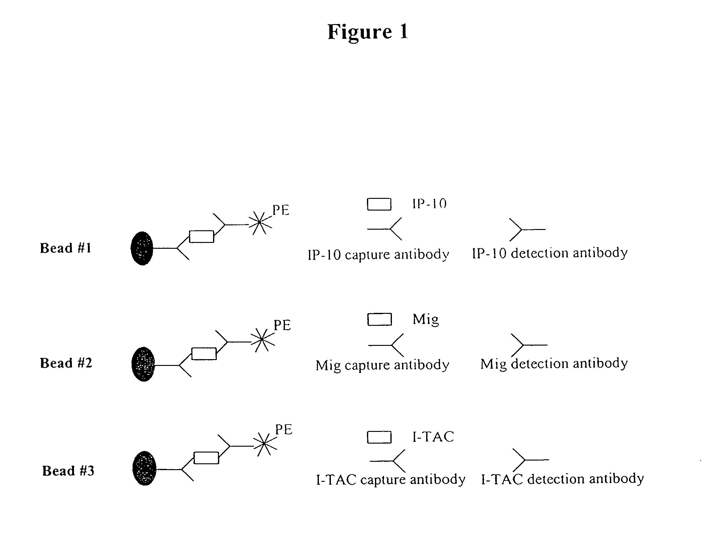 Systems and methods for characterizing kidney diseases