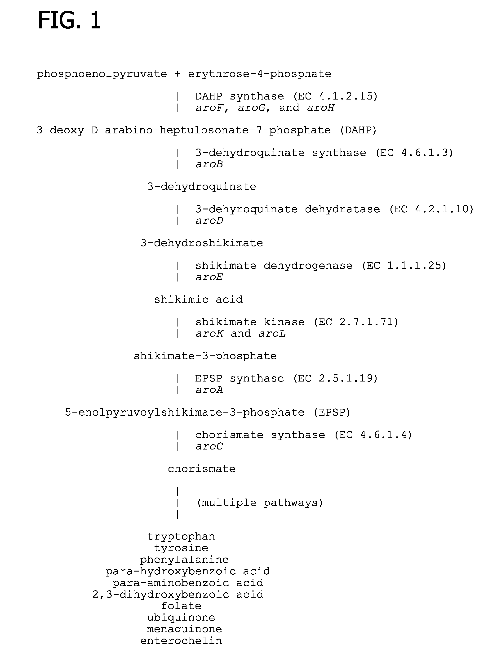 Processes for producing and recovering shikimic acid