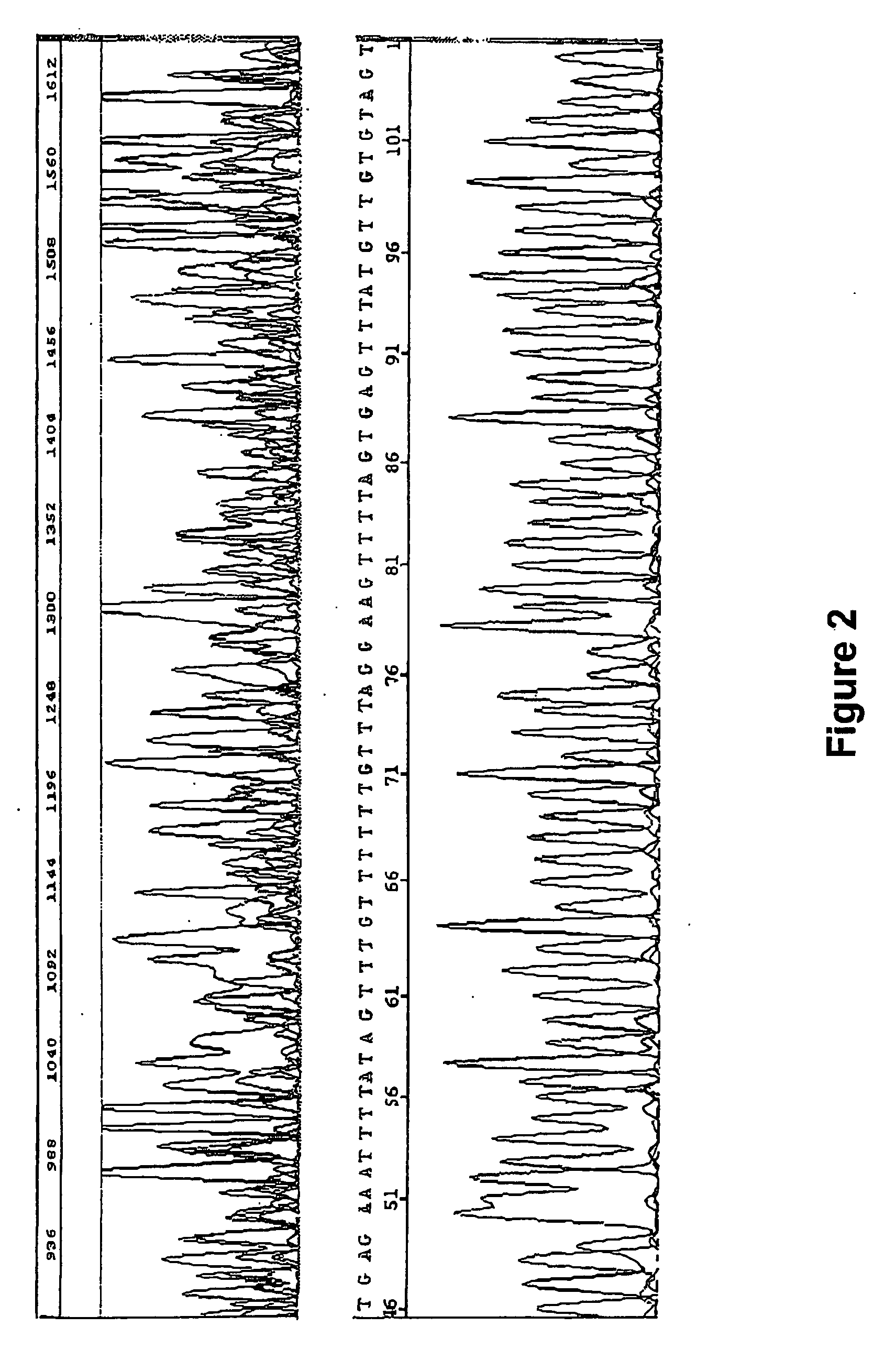 Compositions, methods, and kits for analyzing DNA methylation