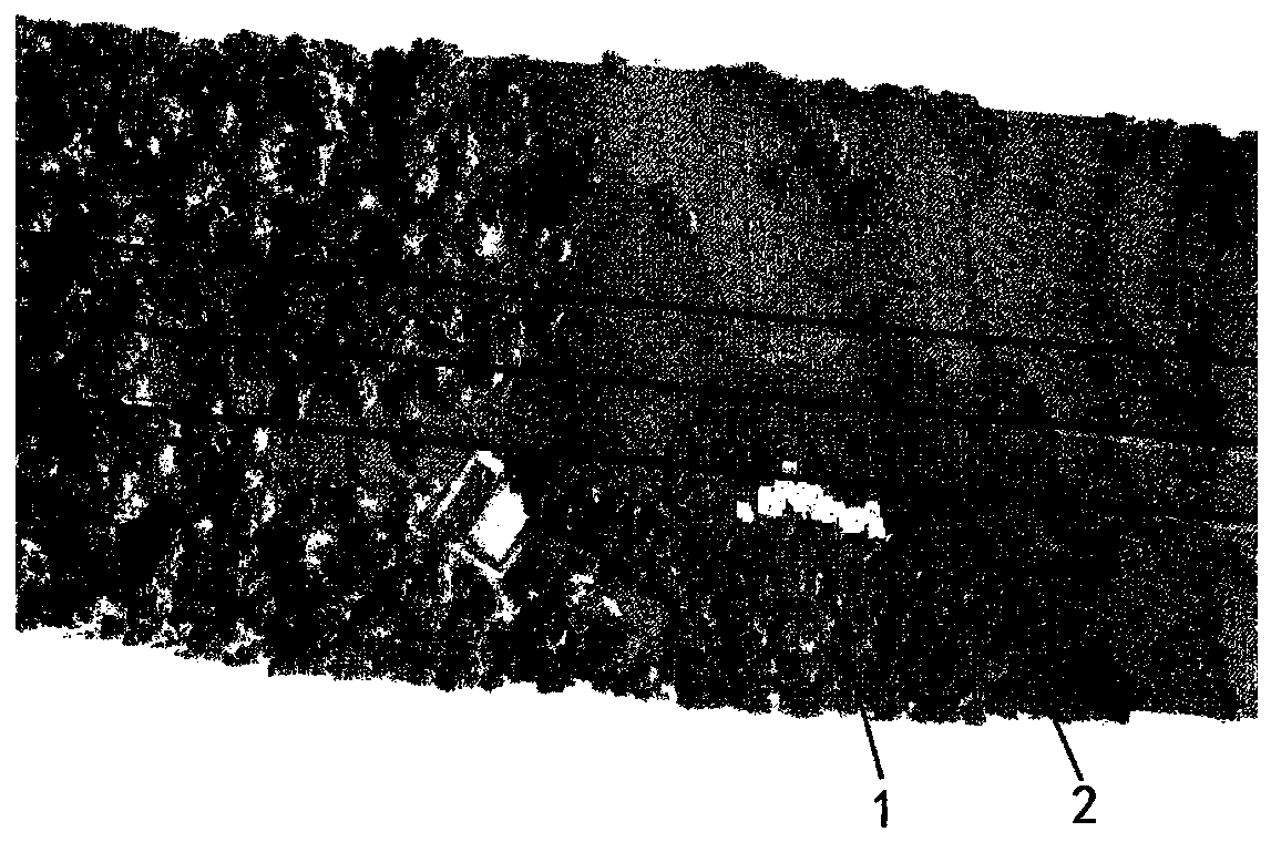 Method for calculating tree cutting area in tree barrier hidden danger area of power transmission line