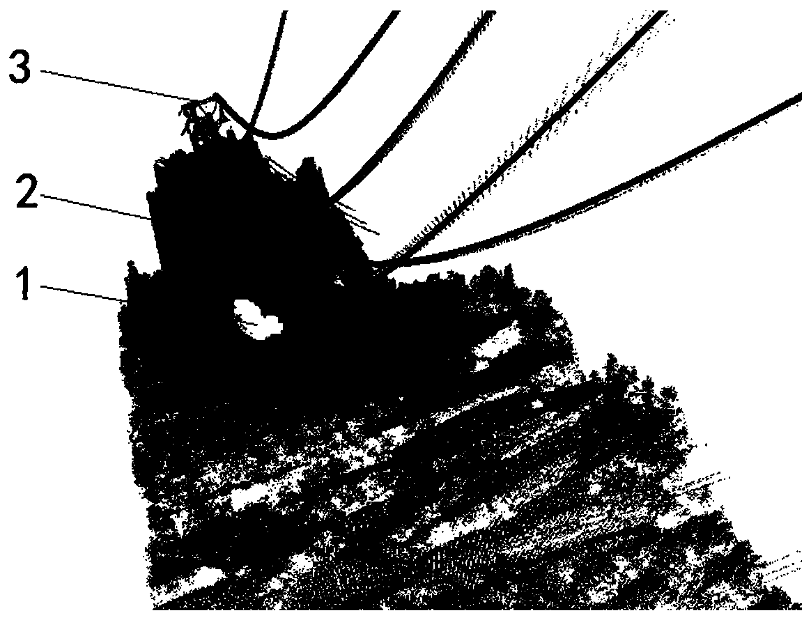 Method for calculating tree cutting area in tree barrier hidden danger area of power transmission line