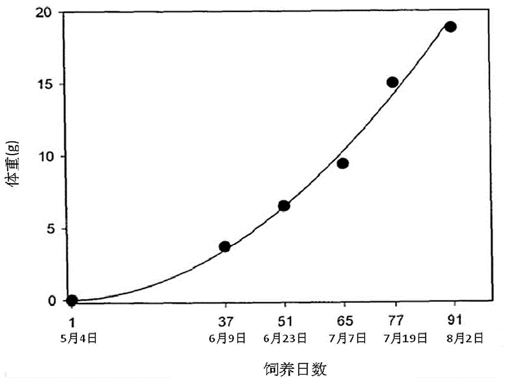 Composition with immunization-enhancing or prevention effect on white spot syndrome and application thereof