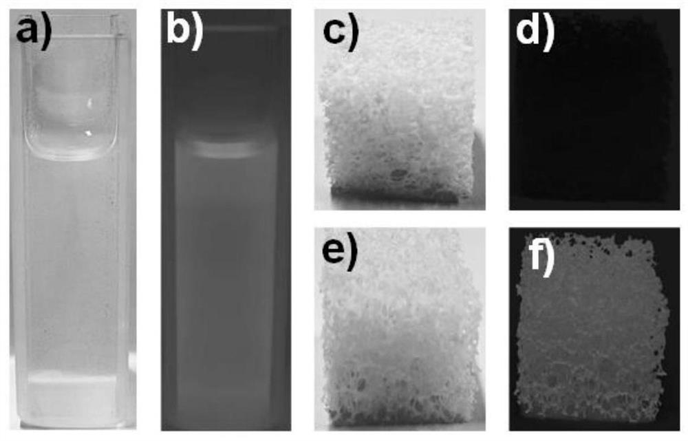 Carbon dot/polyurethane composite material as well as preparation method and application thereof