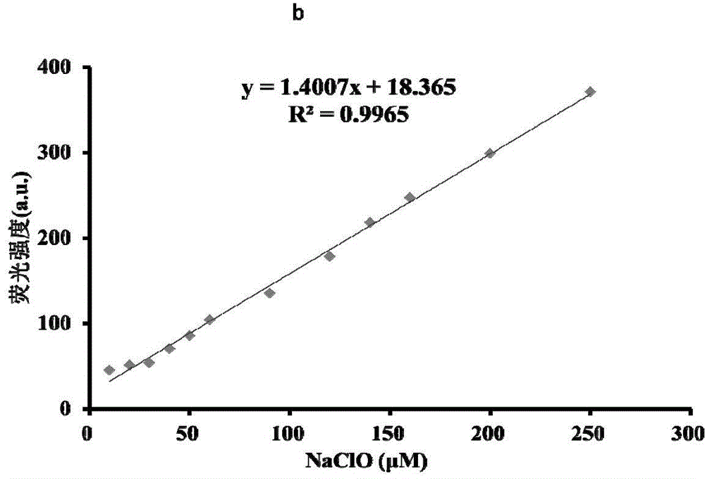 Rapid high-selectivity hypochloric acid fluorescence probe and application thereof