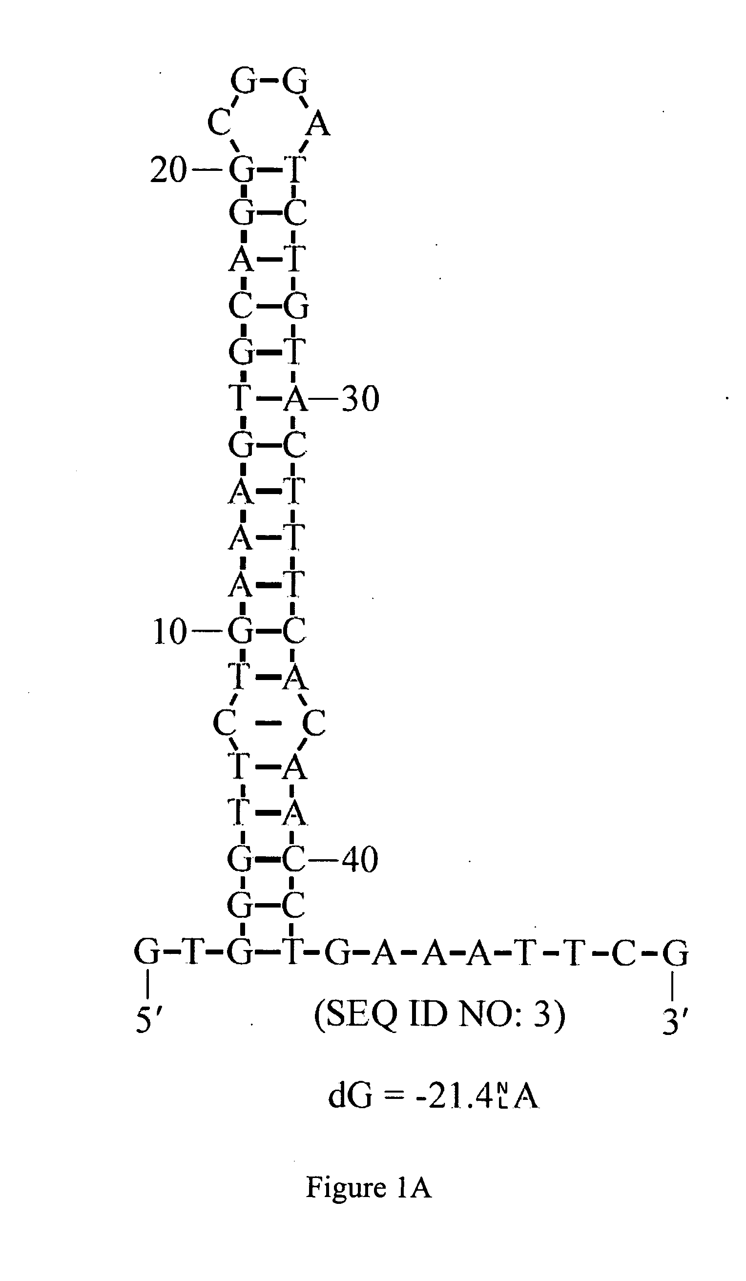 Design of synthetic nucleic acids for expression of encoded proteins