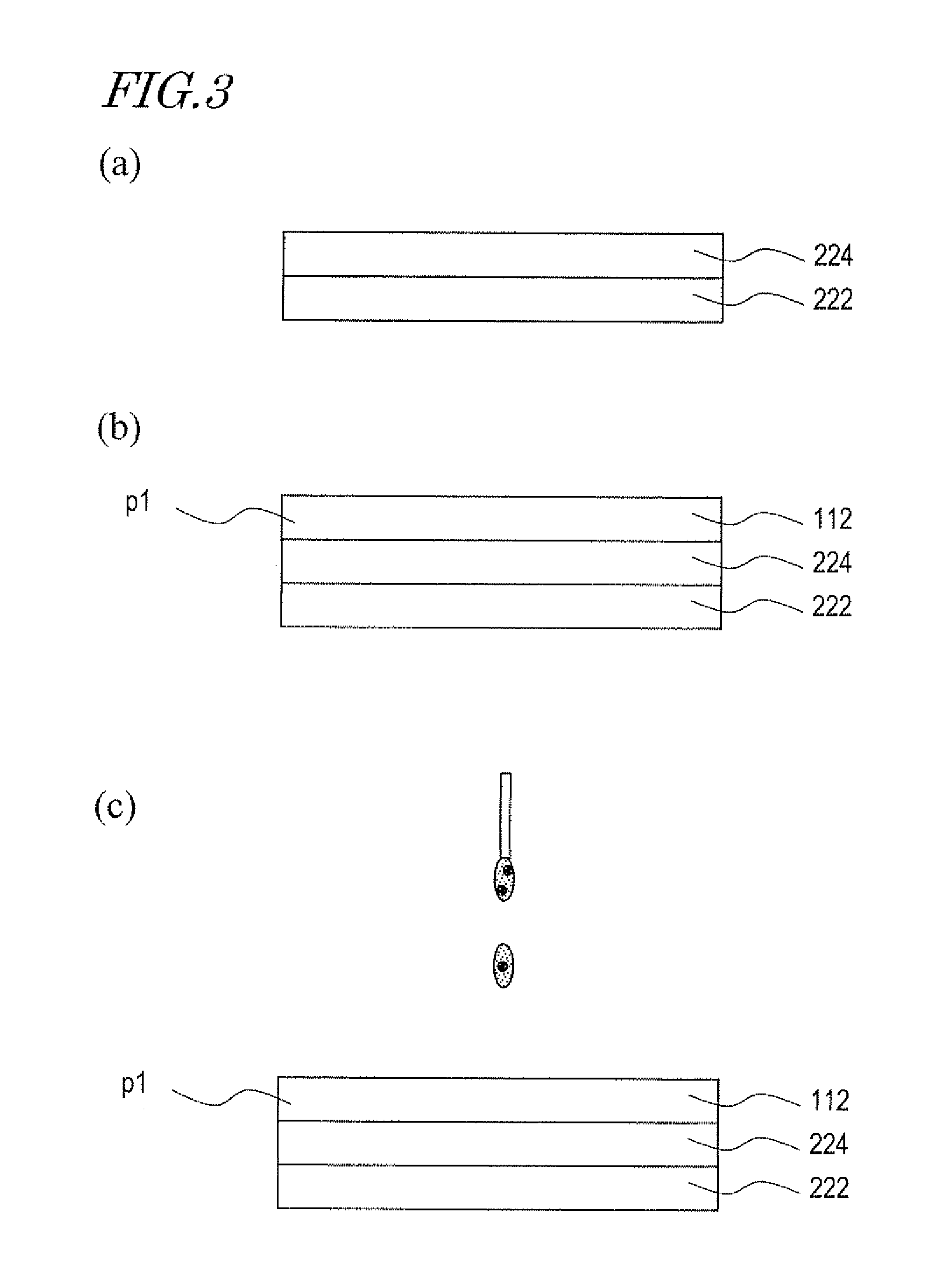 Orientation film, liquid crystal display having orientation film, and method for forming orientation film