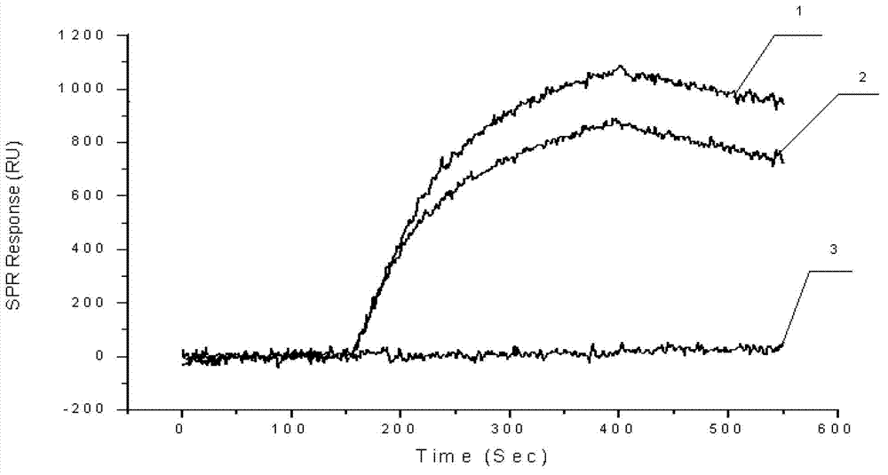 Chip, preparation method, application and method for screening drugs