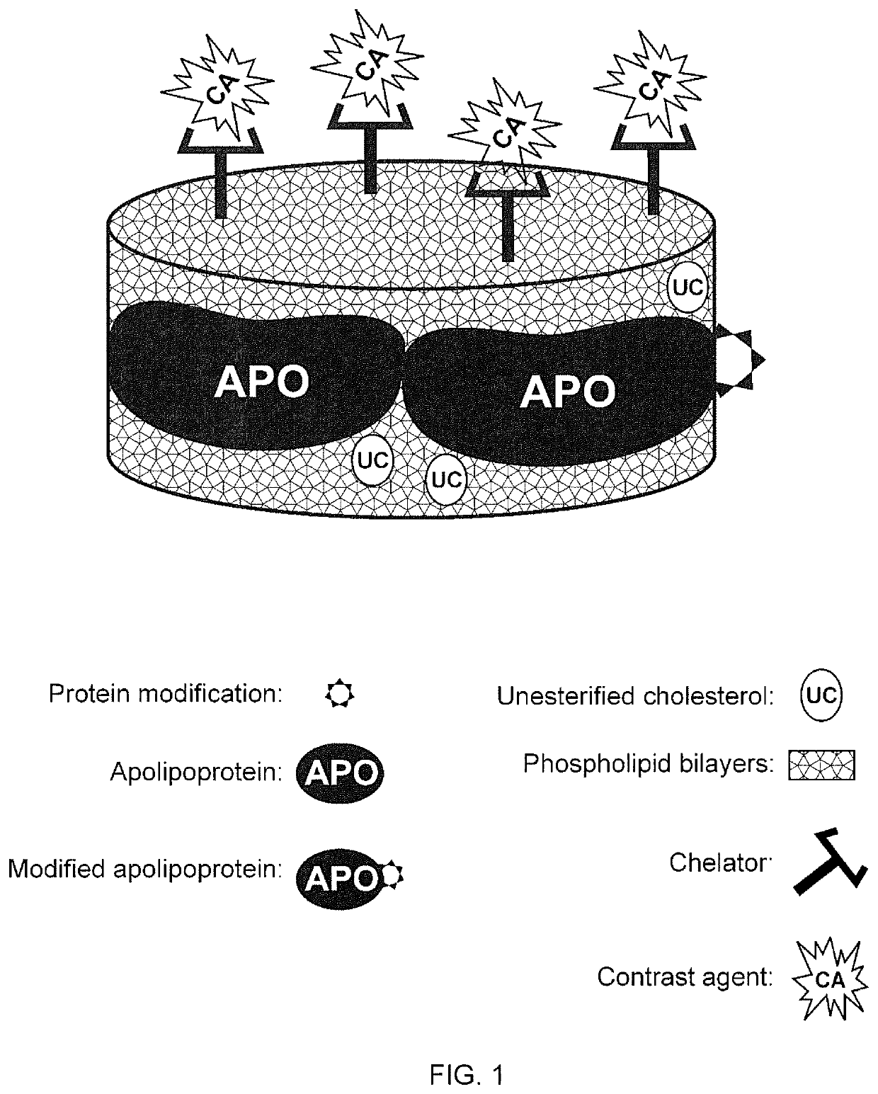 Methods and compositions for targeted imaging