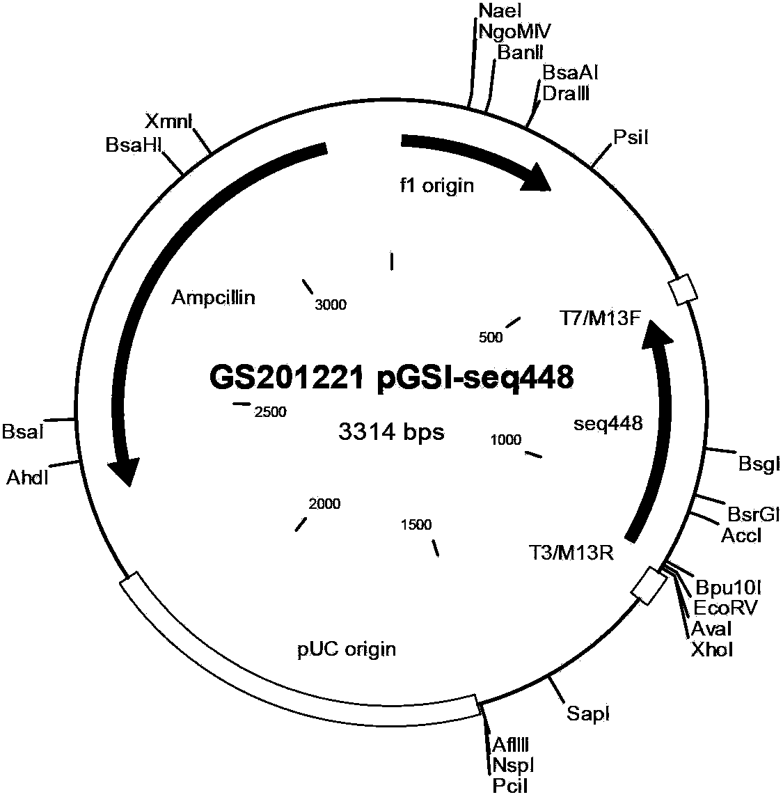 Reagent and method for detecting monkeypox virus through isothermal amplification