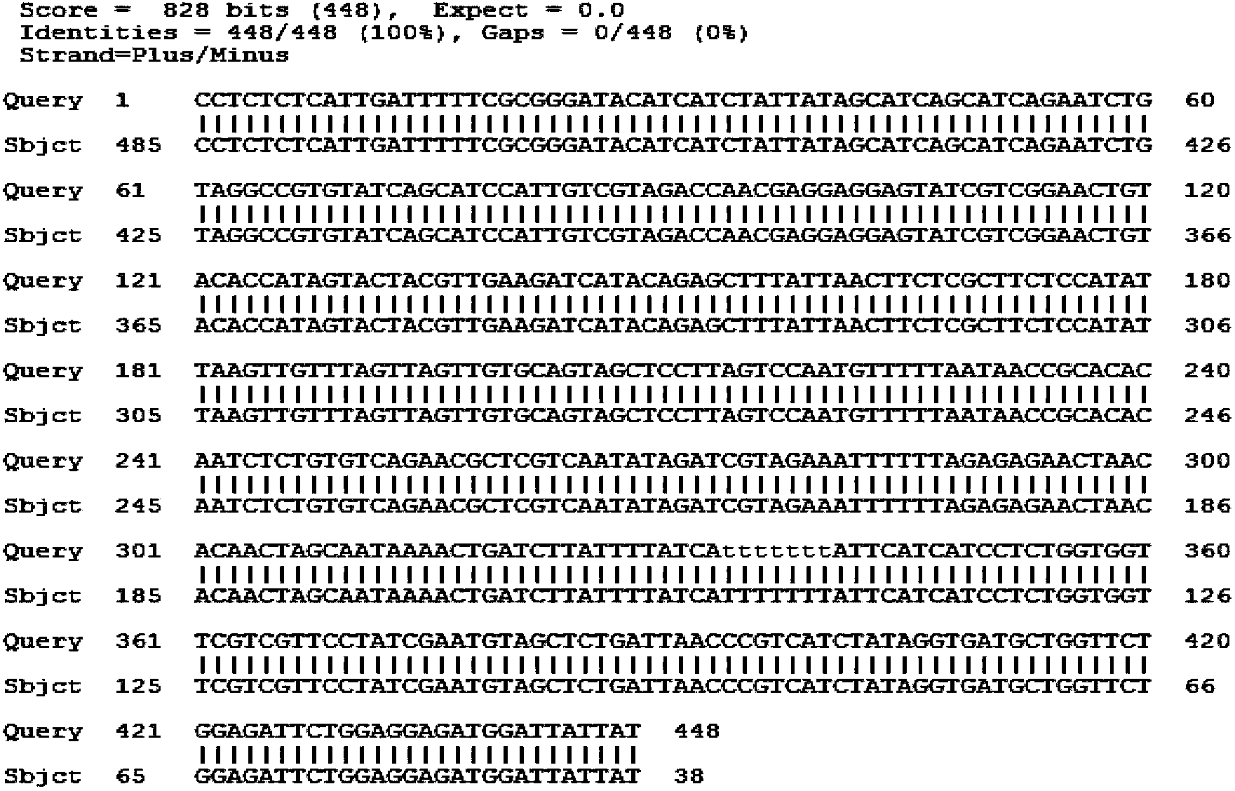 Reagent and method for detecting monkeypox virus through isothermal amplification