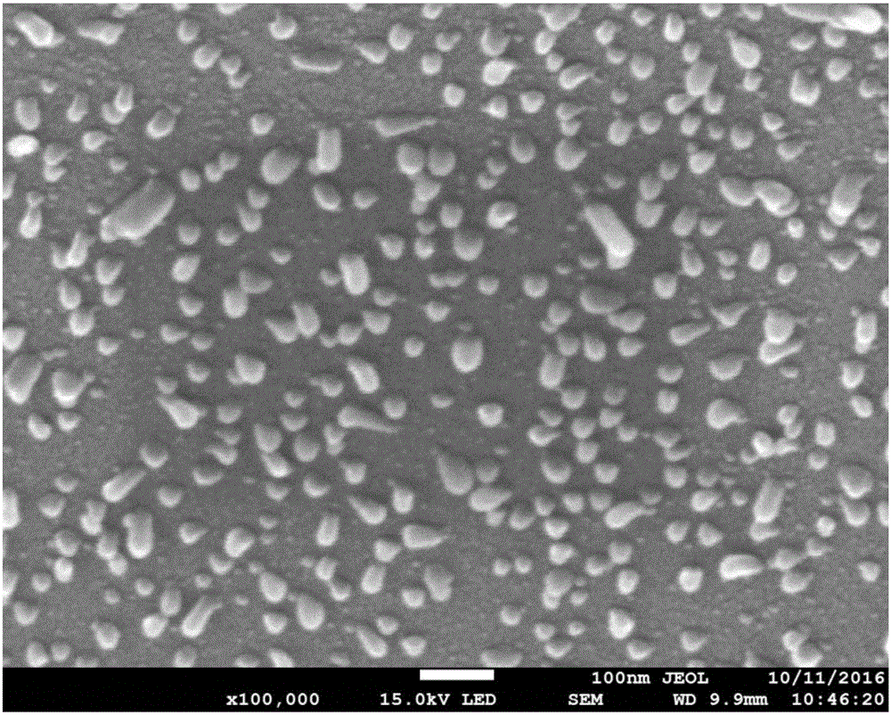 Preparing method of Nitorgen-doped carbon nano-material modified by metal cobalt