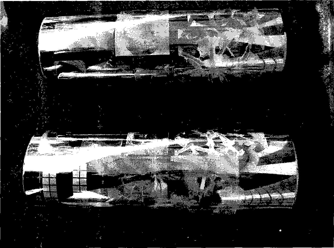 Anticorrosive wearable electrodeposit clad layer of Ni-W-P ternary alloy and manufacturing technique and electroplate liquid thereof