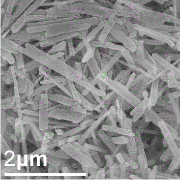 Preparation method of lithium iron phosphate monocrystalline nanorods