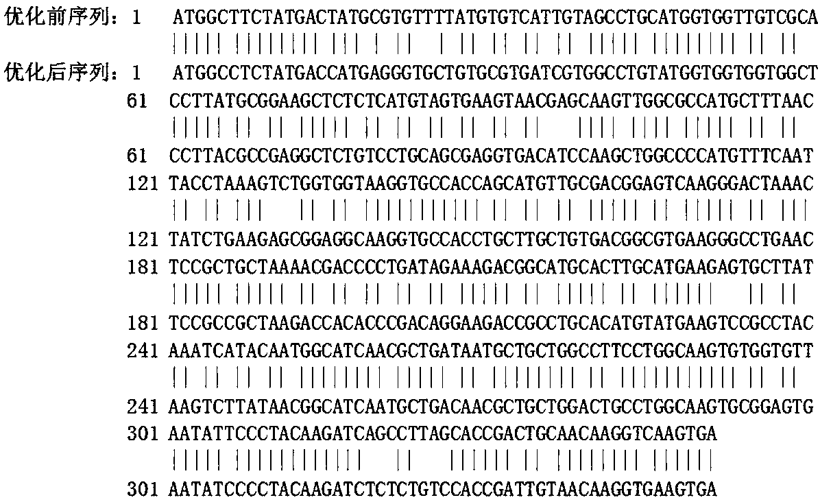 Recombinant Artemisia annua 3 allergen protein and applications thereof