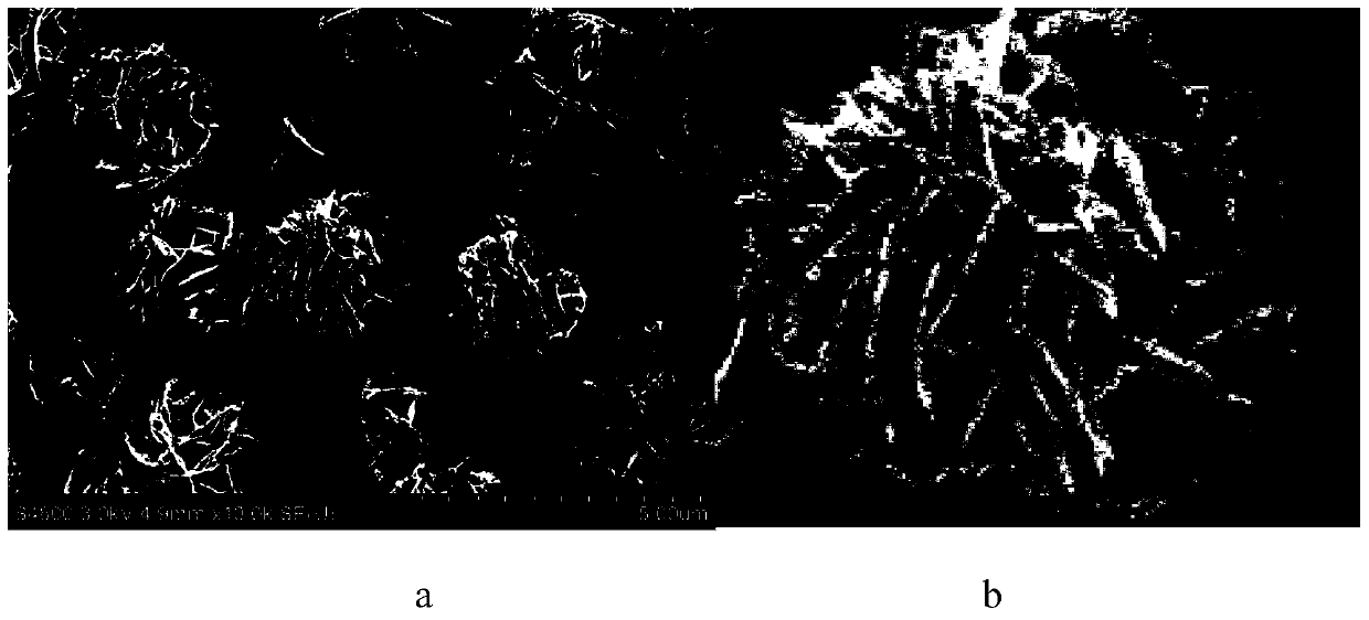 Flower type Ho-Bi2WO6 nano powder and preparation method and application thereof