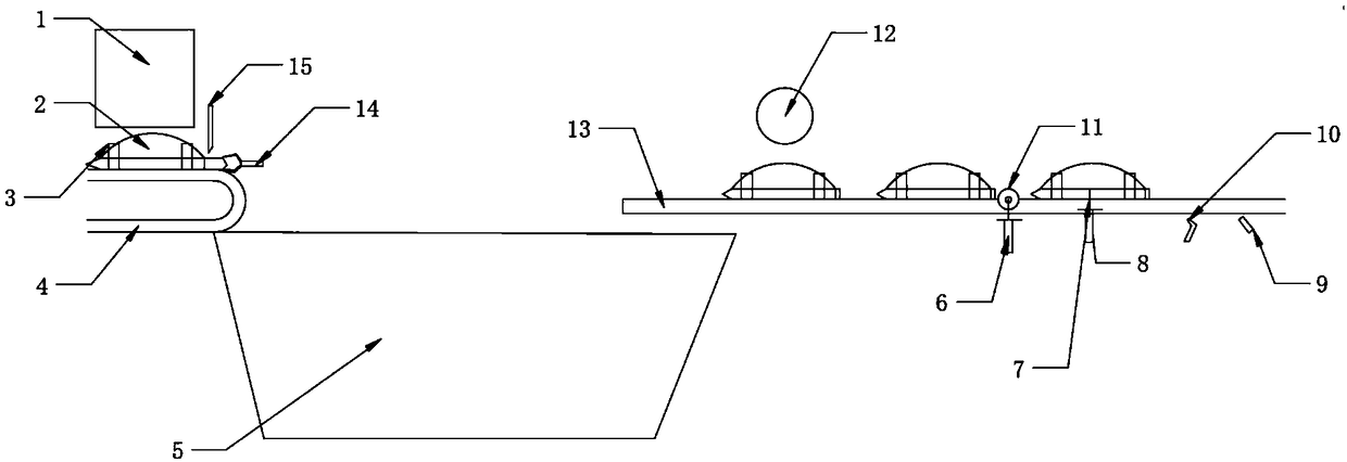 Fresh soft-shelled turtle automatic processing equipment and processing method