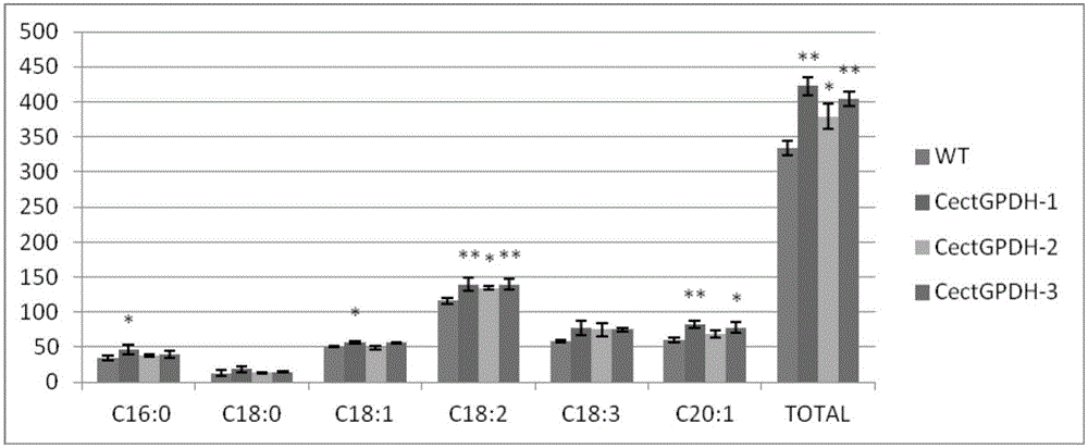 CectGPDH2 (cytosolic glycerol-3-phosphate dehydrogenase 2) gene and application thereof