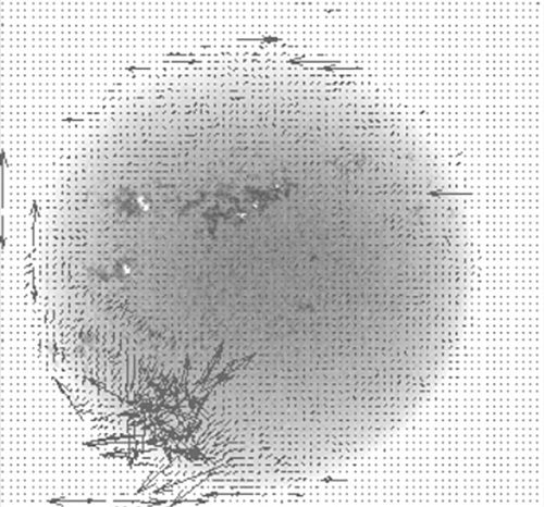 A Visual Enhancement Method of Schlieren Features Based on Correlation Frame Constraints