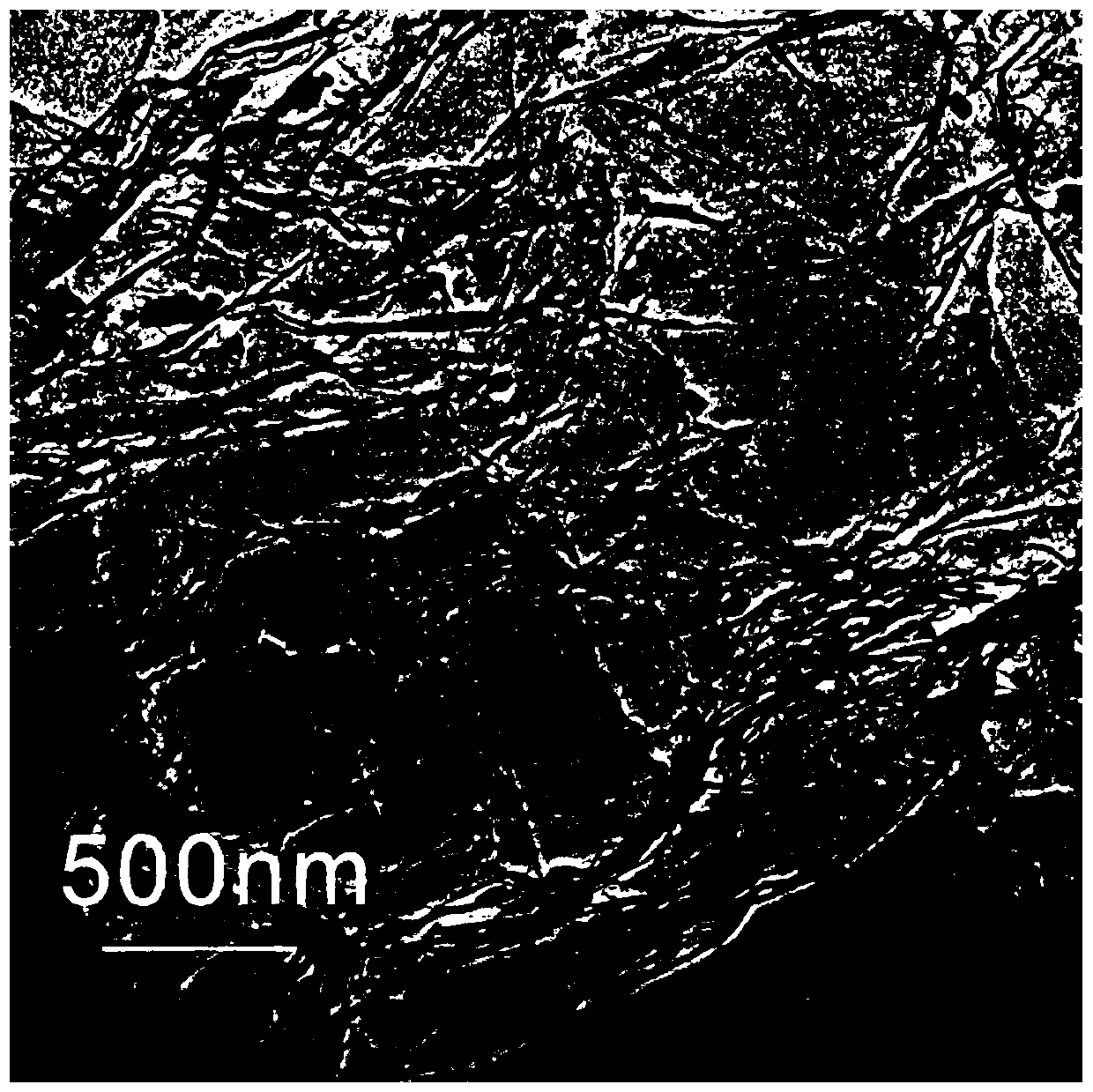 A sp doped with monodisperse metal atoms  <sup>2</sup> Preparation method of hybrid carbon material