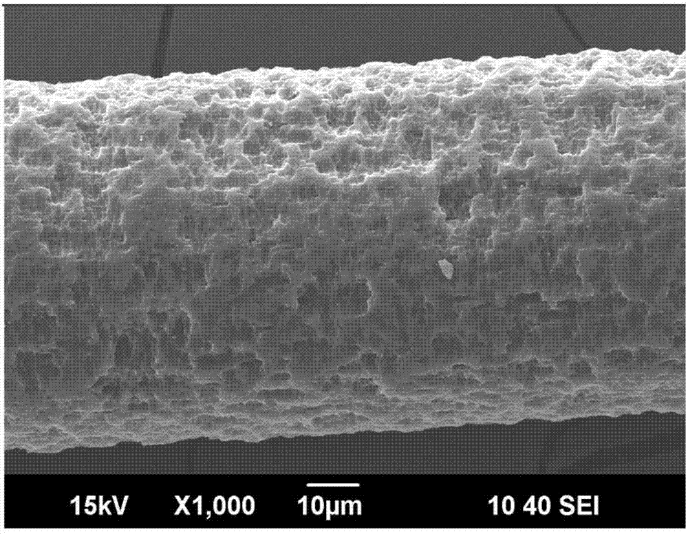 Cosmetic bristle, preparation method of cosmetic bristle and cosmetic brush