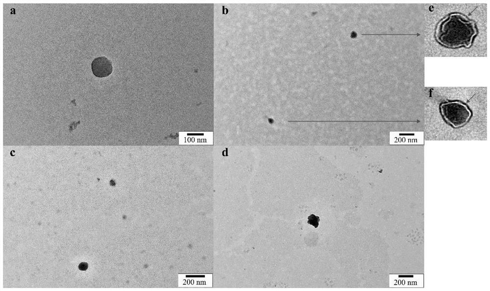 A kind of oral insulin chitosan nanoparticle solution and preparation method thereof