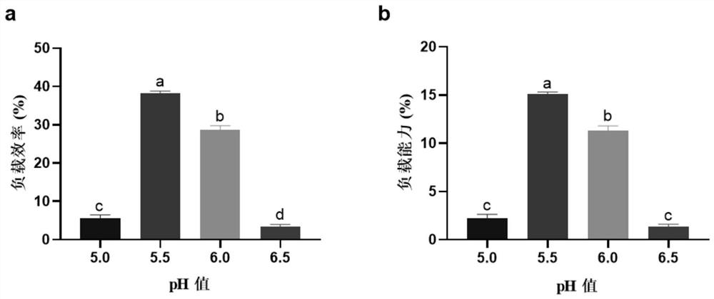 A kind of oral insulin chitosan nanoparticle solution and preparation method thereof