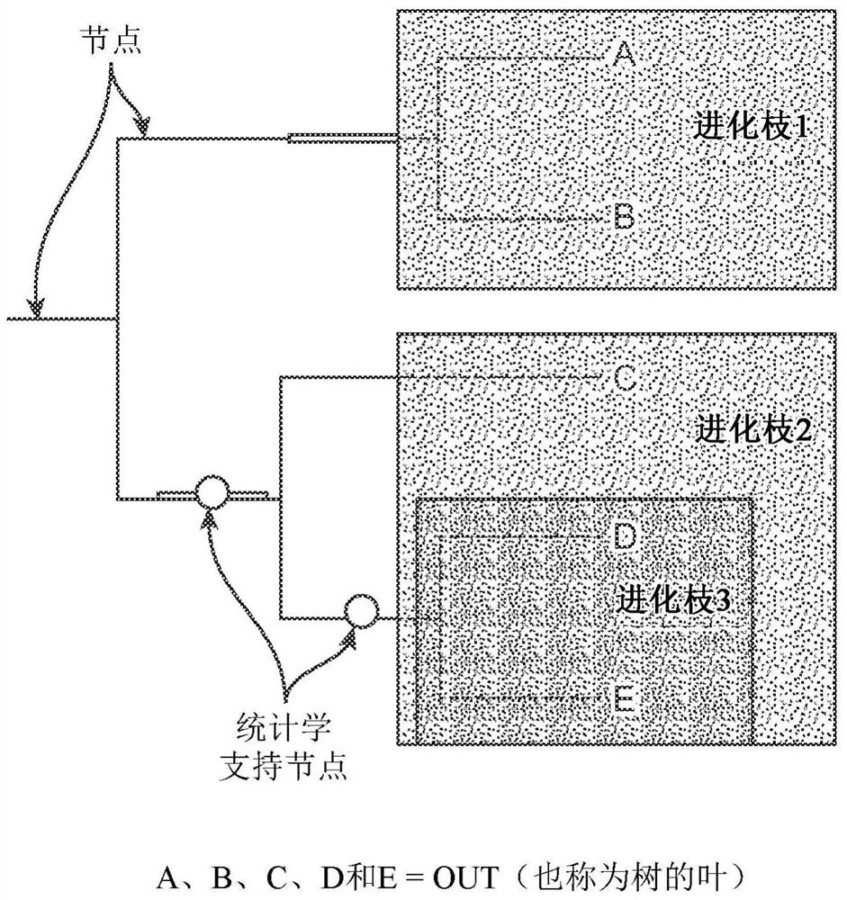 Synergistic bacterial compositions and methods of manufacture and use thereof