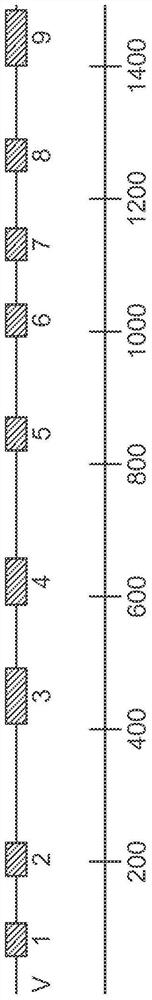 Synergistic bacterial compositions and methods of manufacture and use thereof