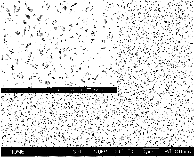 Preparation method of columnar monocrystal nano-TiO2 array film