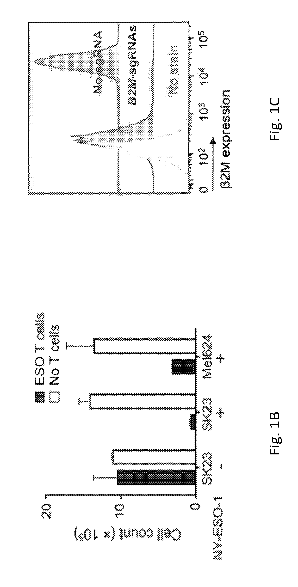 Methods for selecting therapy for  a cancer patient