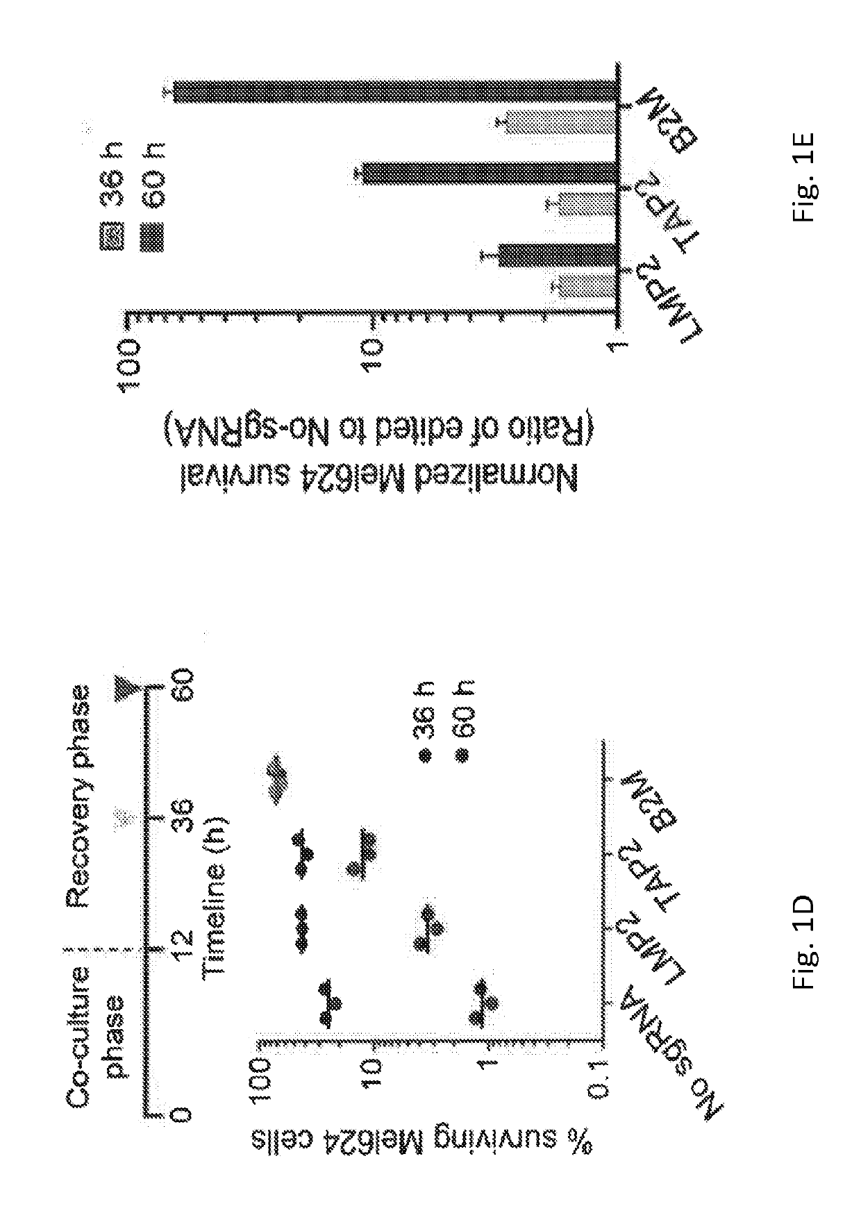 Methods for selecting therapy for  a cancer patient