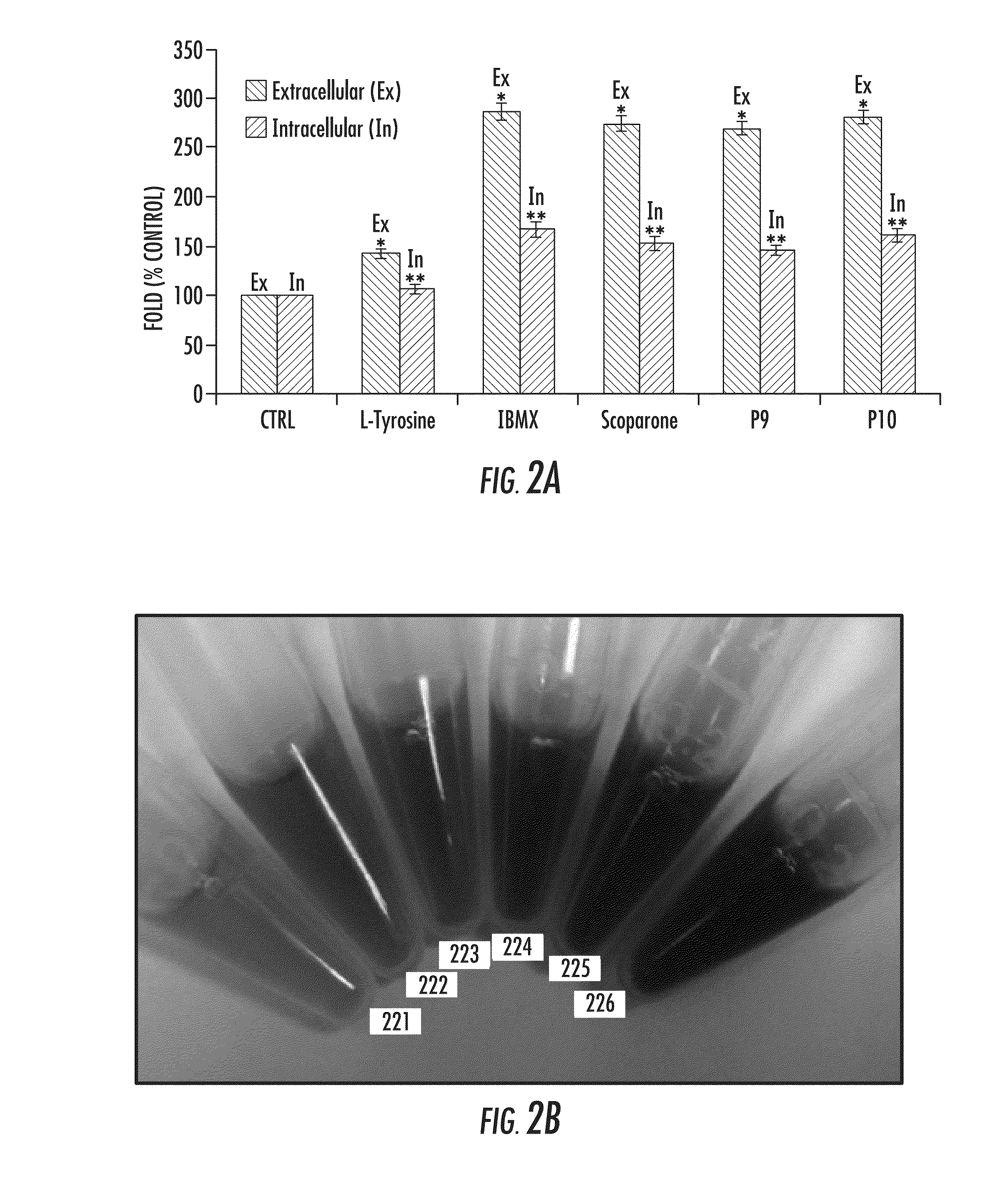 Peptide Tyrosinase Activators