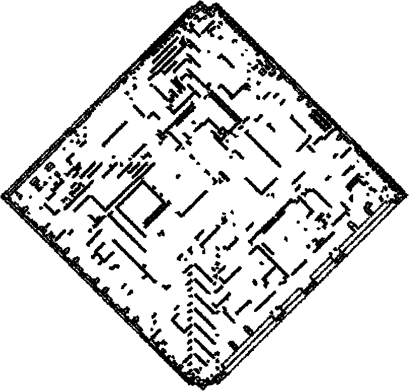 Two-dimensional visualization encryption method for genetic information based on iteration function