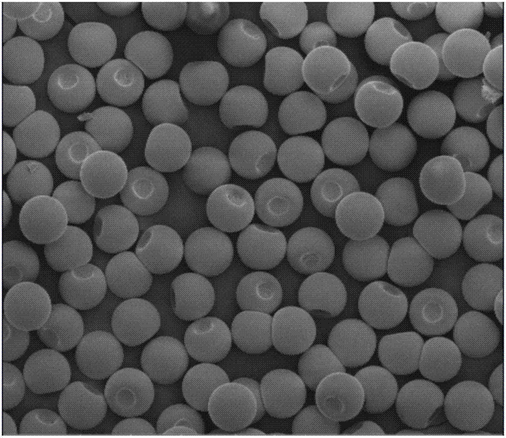 Modified liquid crystal sealant composition